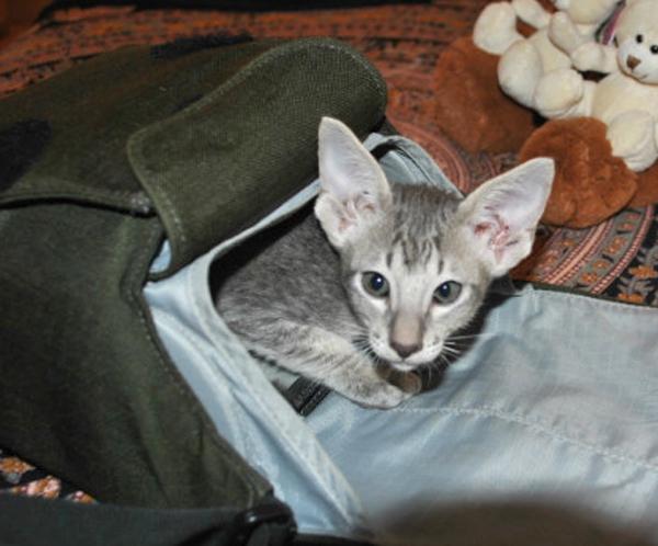 DSC_4264.jpg
